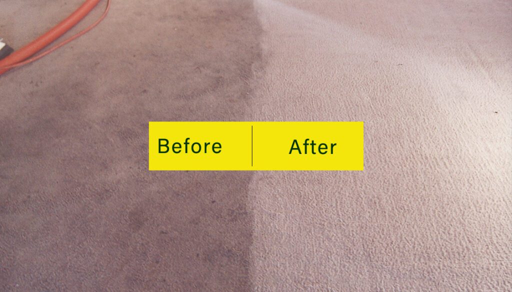 Calgary professional carpet cleaning services before after