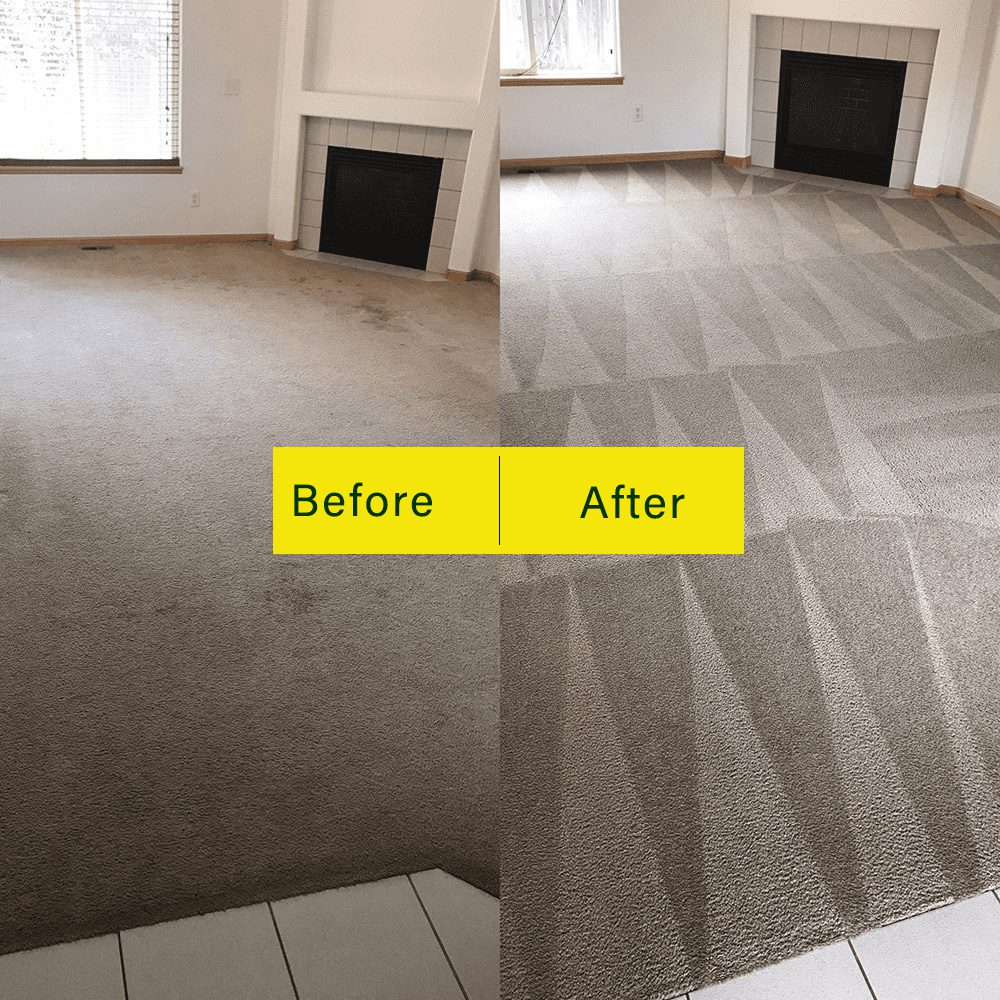 Professional carpet cleaning services before after