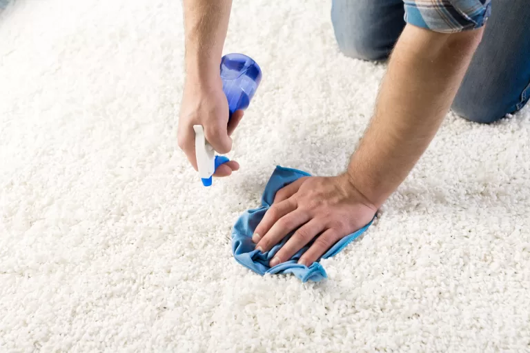 cleaning-home-concept-close-up-male-cleaning-stain-carpet-with-cloth_488220-13371_full
