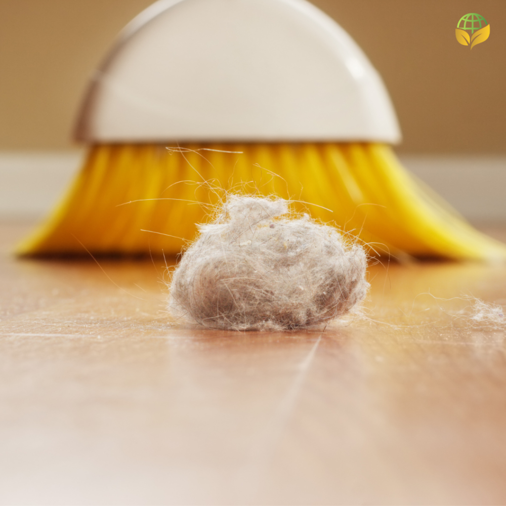 A close-up of a dust bunny in front of a bright yellow and white broom on a wooden floor, highlighting the need for regular cleaning to reduce allergens.