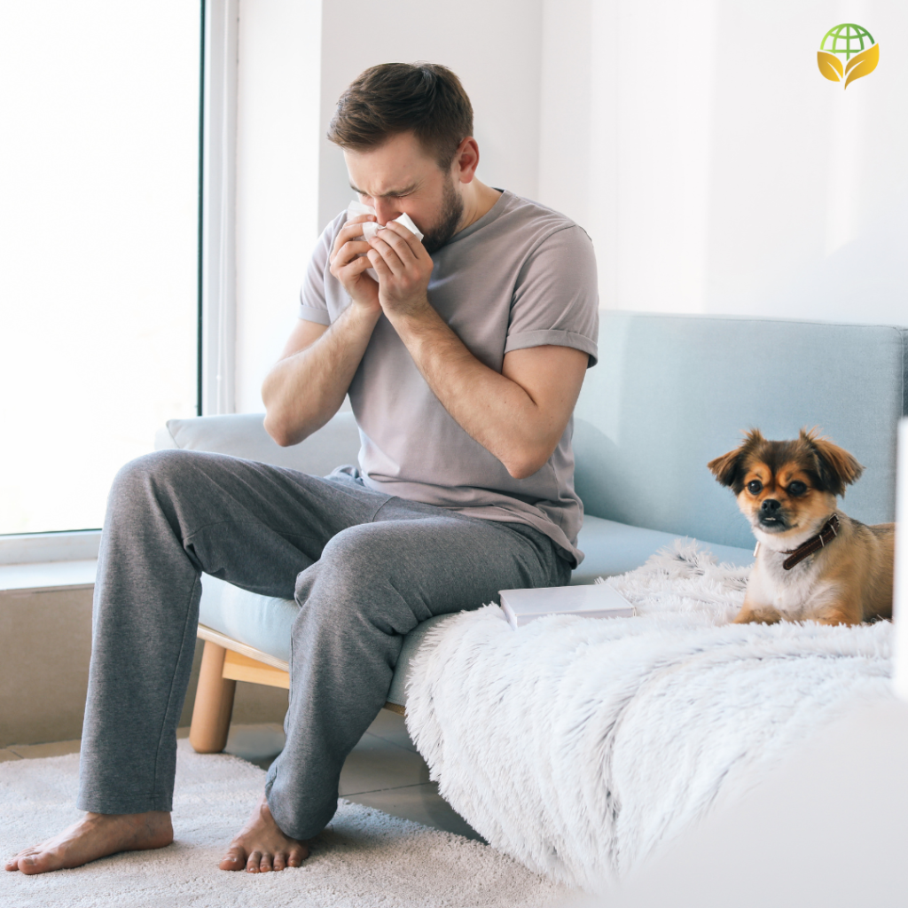 A man sitting on a couch, blowing his nose with a tissue, with a small dog looking on, illustrating the effects of pet dander on allergies.