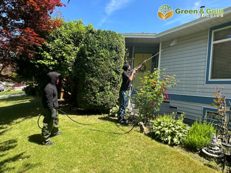 pressure washing of wall